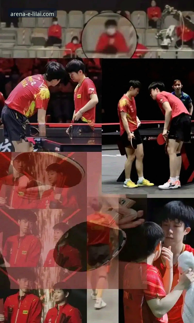 利来体育平台赛事深度解析与沉浸式观赛操作教程